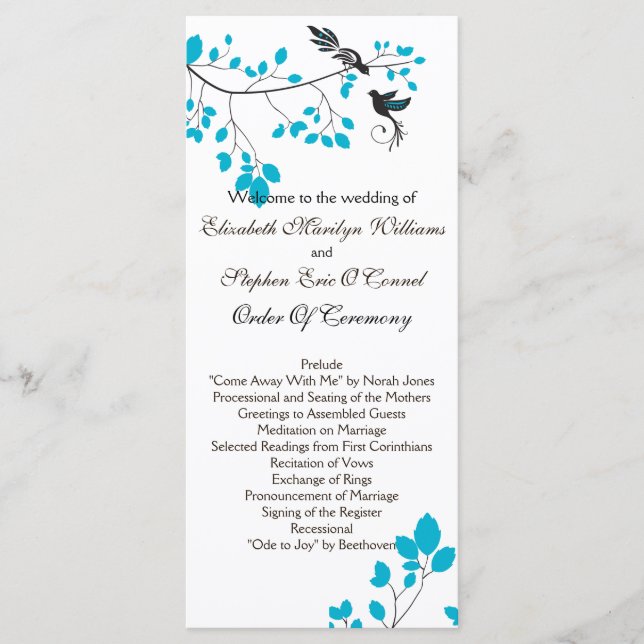 Love birds Blue Program (Framsida)