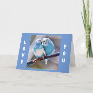 **LOVE BIRDS FÖR ATT SÄGA ATT I KÄRLEK ÄR DU** KÄR HELGKORT