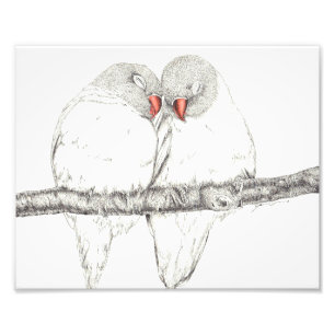 Love birds fototryck