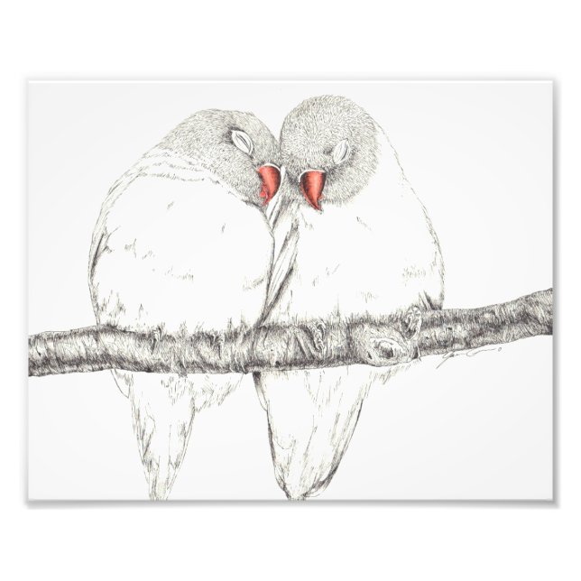 Love birds fototryck (Framsidan)