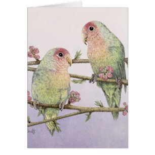 Love birds hälsningskort