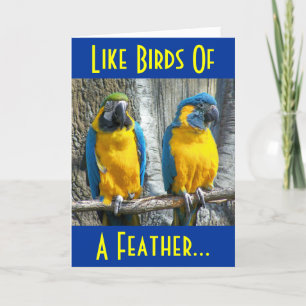 Love birds helgkort