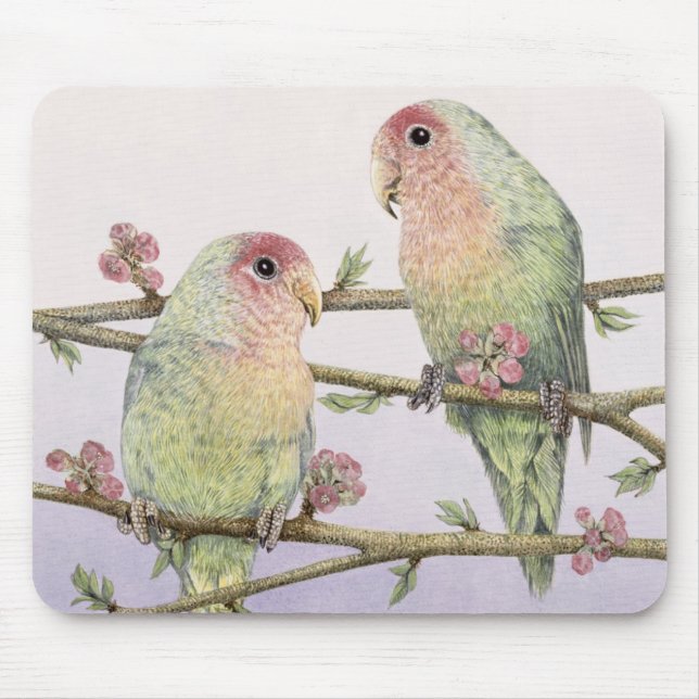 Love birds musmatta (Framsidan)