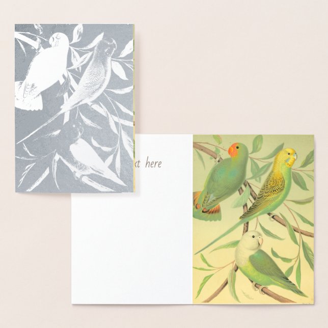 love birds och paraketer - silver folierat kort (Display)