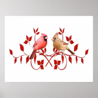 Love birds Poster