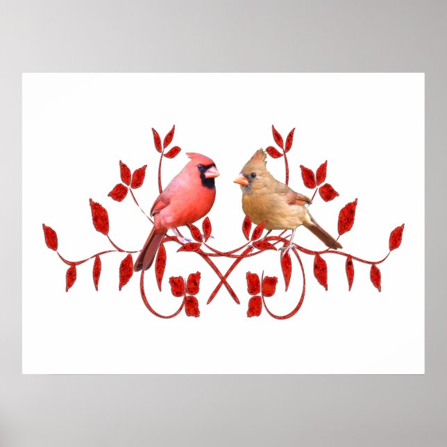 Love birds Poster (Framsidan)