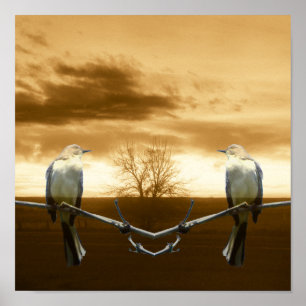 Love birds_Poster Poster