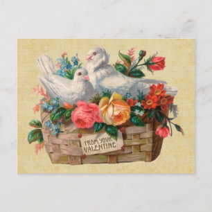 Love birds Vintage vykort