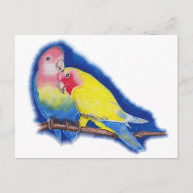 love birds vykort (Framsida)