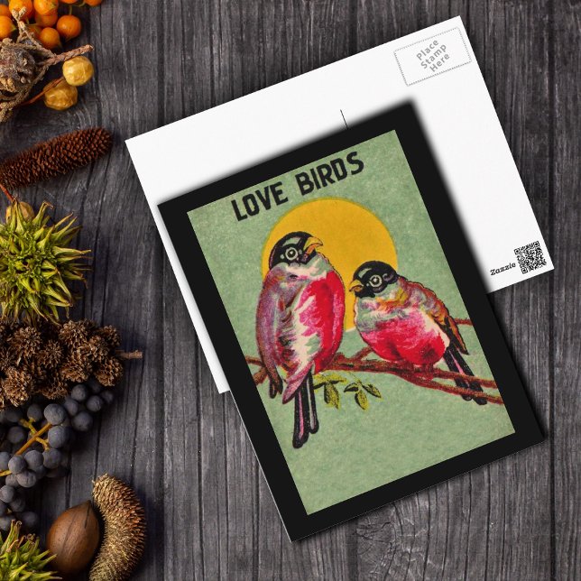 Love birds vykort (Two pretty Love Birds dark pink on branch in front of orange sun on green postcard with black border)