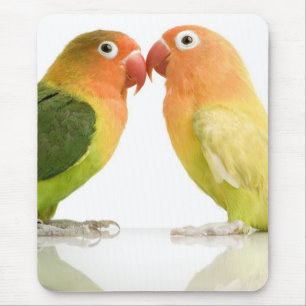 Love birdsmusen vadderar musmatta