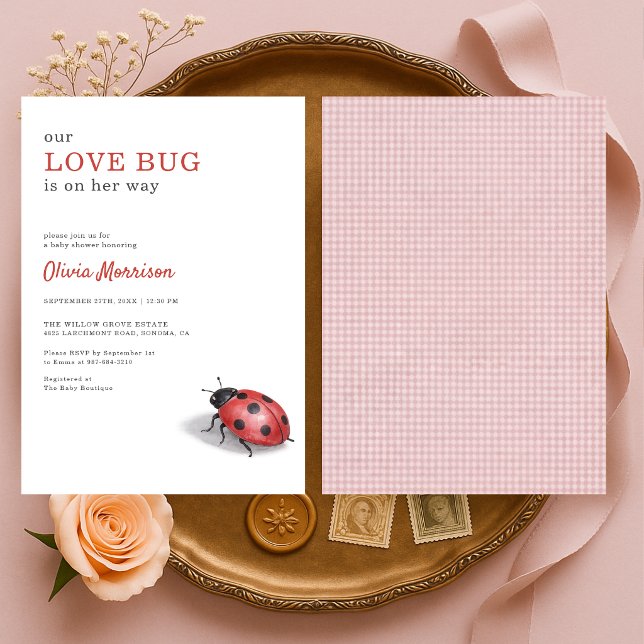 Love Bug Ladybug Gingham Baby Shower Inbjudningar (Skapare uppladdad)
