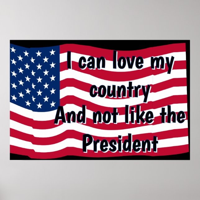 Love Country Not Presideent Poster (Framsidan)