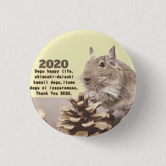 LOVE ♡ DEGU　2020 KNAPP (Framsida)