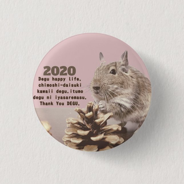 LOVE ♡ DEGU　2020 KNAPP (Framsida)