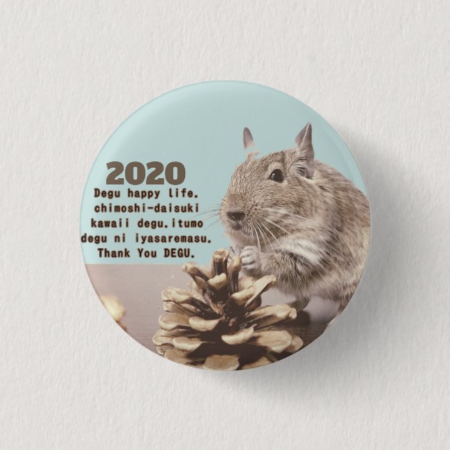 LOVE ♡ DEGU　2020 KNAPP (Framsida)