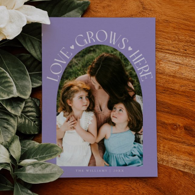 Love Grows Here Lilac Arch Valentines Day Julkort (Skapare uppladdad)