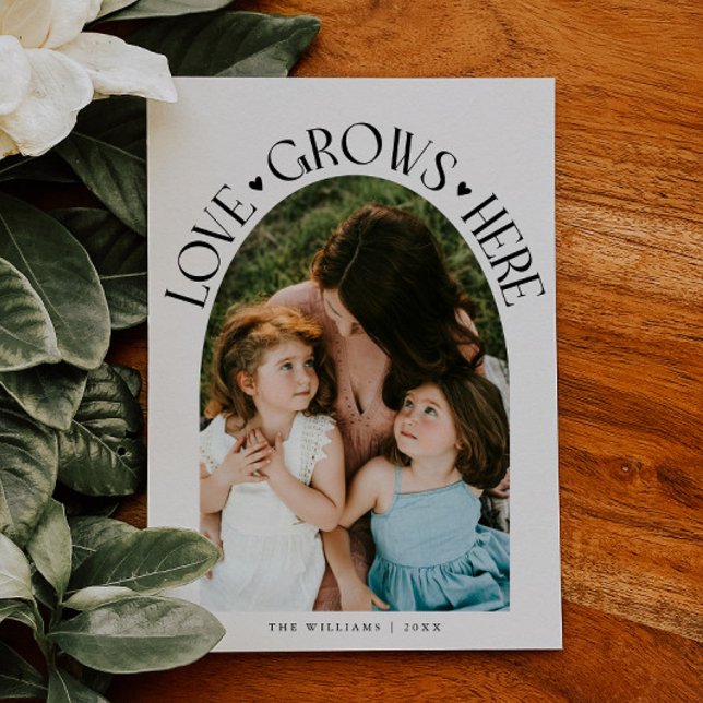 Love Grows Here White Arch Valentines Day Julkort (Skapare uppladdad)
