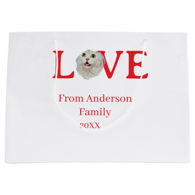 Love holidays cat photo pet family name bold lette (Framsidan)