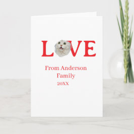 Love holidays cat photo pet family name bold lette kort
