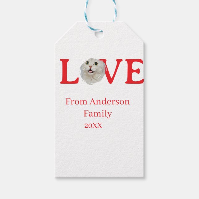 Love holidays cat photo pet family name bold lette presentetikett (Framsidan)