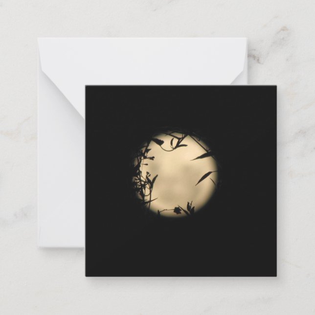 LOVE IN THE MOONLIGHT ANTECKNINGSKORT (Framsida)