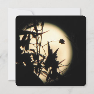 Love in the Moonlight shimmer Inbjudningar