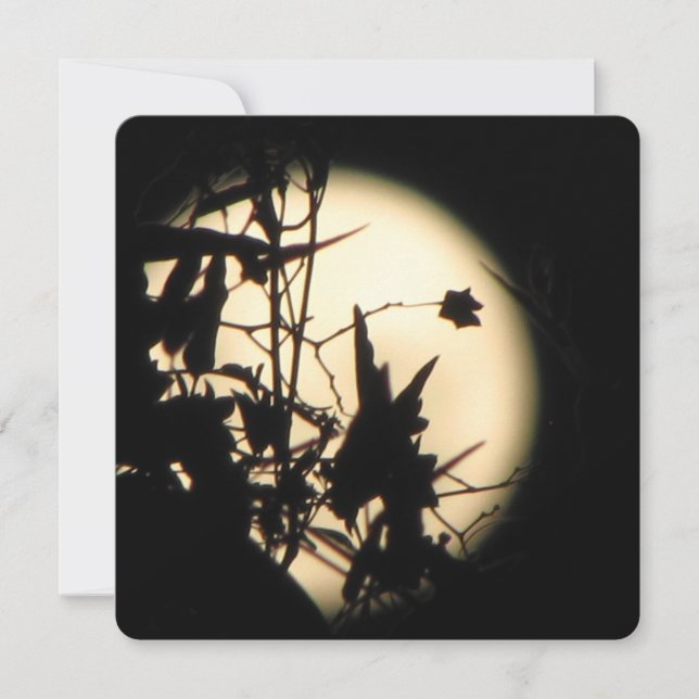 Love in the Moonlight shimmer Inbjudningar (Framsida)