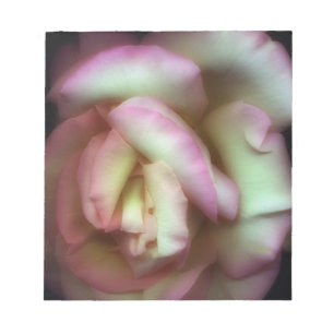 <Love is a Rose>från Nathan Griffith Anteckningsblock