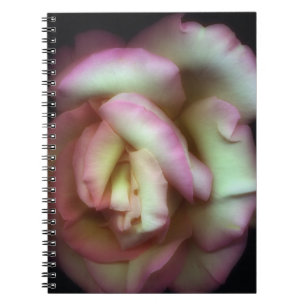 <Love is a Rose> vid Nathan Griffith Anteckningsbok Med Spiral
