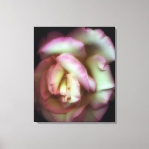<Love is a Rose> vid Nathan Griffith Canvastryck