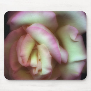 <Love is a Rose> vid Nathan Griffith Musmatta
