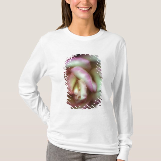 <Love is a Rose> vid Nathan Griffith T-shirt (Framsida)