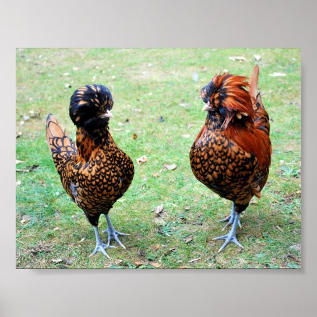 Love is in the Air Poster (Framsidan)