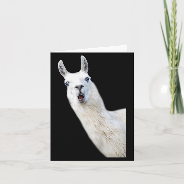 Love Llama Women Shirt Llama Lovers For Kids And G Kort (Framsida)