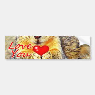 Love You_ Bildekal