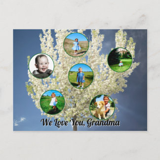 Love You Grandma White Blossoming Tree Six Photos  Vykort