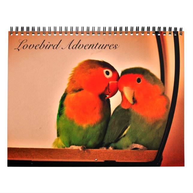 Lovebird Äventyr Calendar Kalender (Omslag)