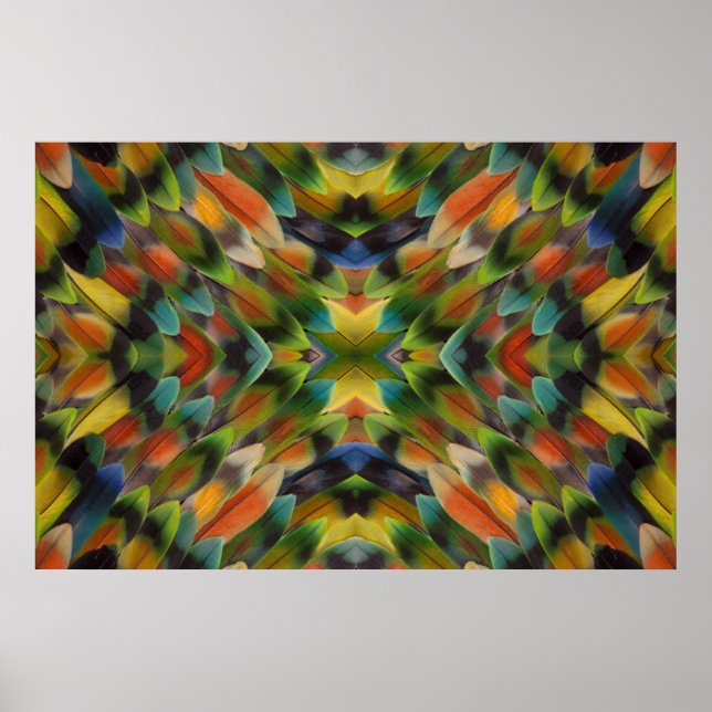 Lovebird fjäther kaleidoscope poster (Framsidan)