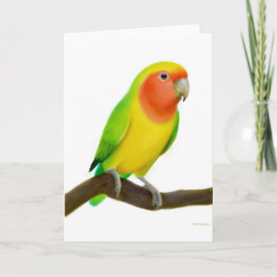 Lovebird-hälsningskort Kort