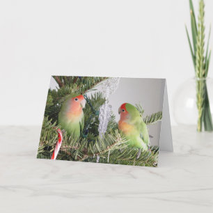 Lovebird-julkort Helgkort