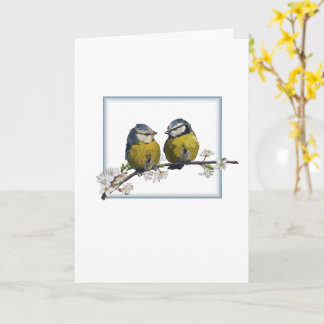 Lovebird på körsbärsfärgen gren, vit blommar kort