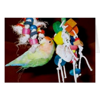 Lovebird på leksaken hälsningskort