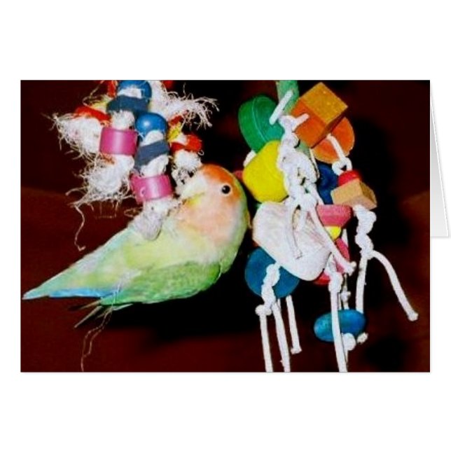 Lovebird på leksaken hälsningskort (Framsidan Horizontal)