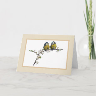 Lovebird sitta på blommarna gren kort