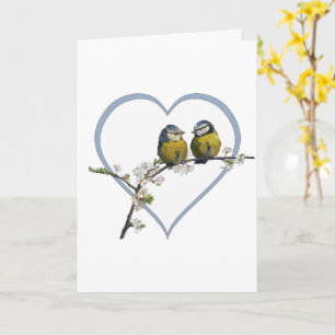 Lovebird sitta på blommarna gren kort