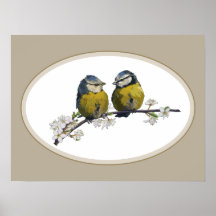 Lovebird sitta på blommarna gren