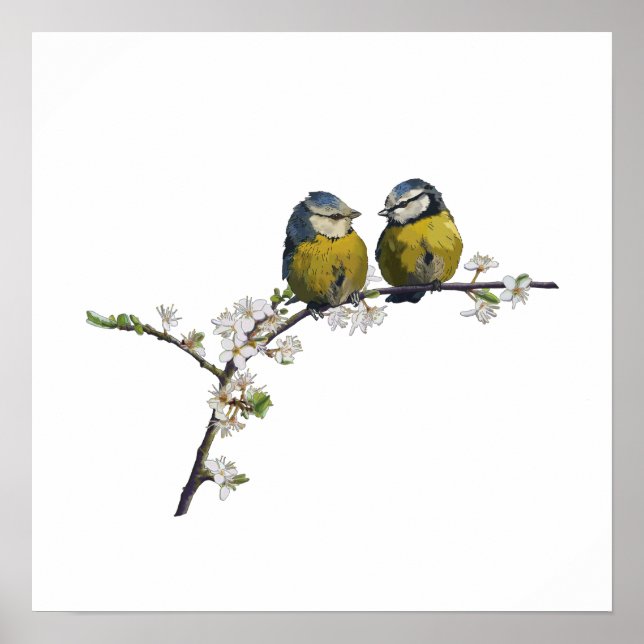 Lovebird sitta på körsbärsvit blommar gren poster (Framsidan)