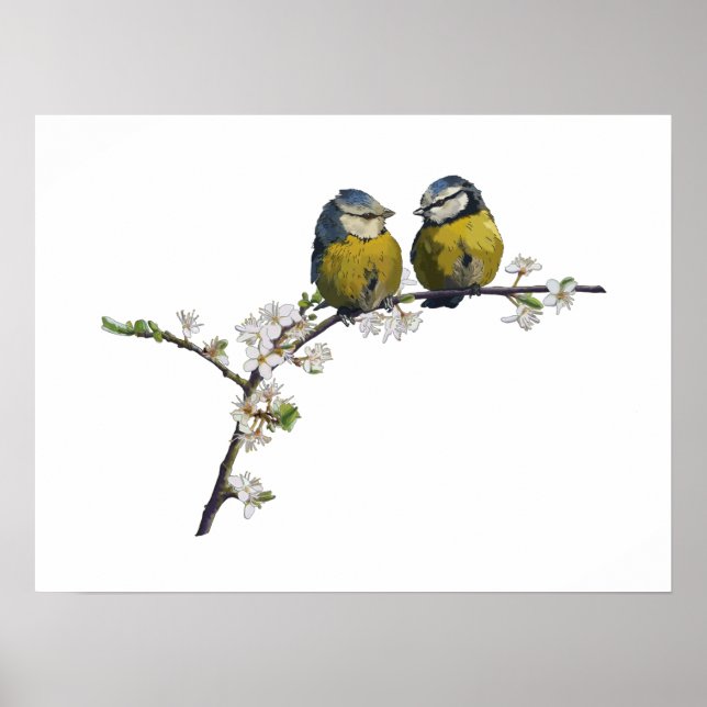 Lovebird sitta på körsbärsvit blommar gren poster (Framsidan)
