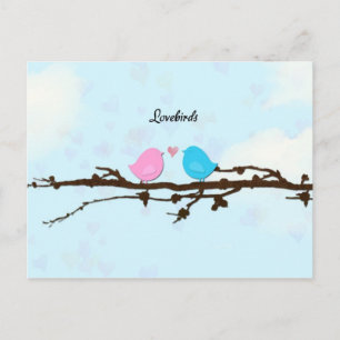Lovebird-vykort Vykort